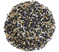 Dehner Aqua Premium Farbkies Kenia, 2-3 mm