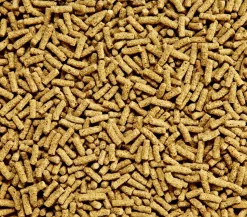 Dehner Aqua Teichfischfutter Sticks