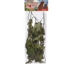 Dehner Best Nature Haselnuss, 25 g