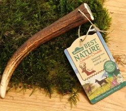 Dehner Best Nature Hundesnack Kaustange vom Rothirsch, ganz