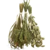 Dehner Best Nature Rispenhirse, 50 g
