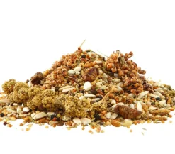 Dehner Best Nature Vogelfutter, Agapornidenfutter