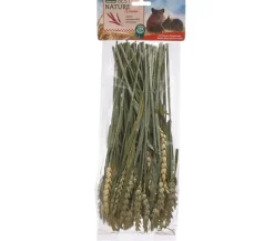 Dehner Best Nature Weizen, 75 g