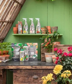 Dehner Bio Düngestäbchen Tomaten & Gemüse, 30 Stück