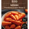 Dehner Bio-Saatgut Möhre 'Chantenay à coeur Rouge 2'