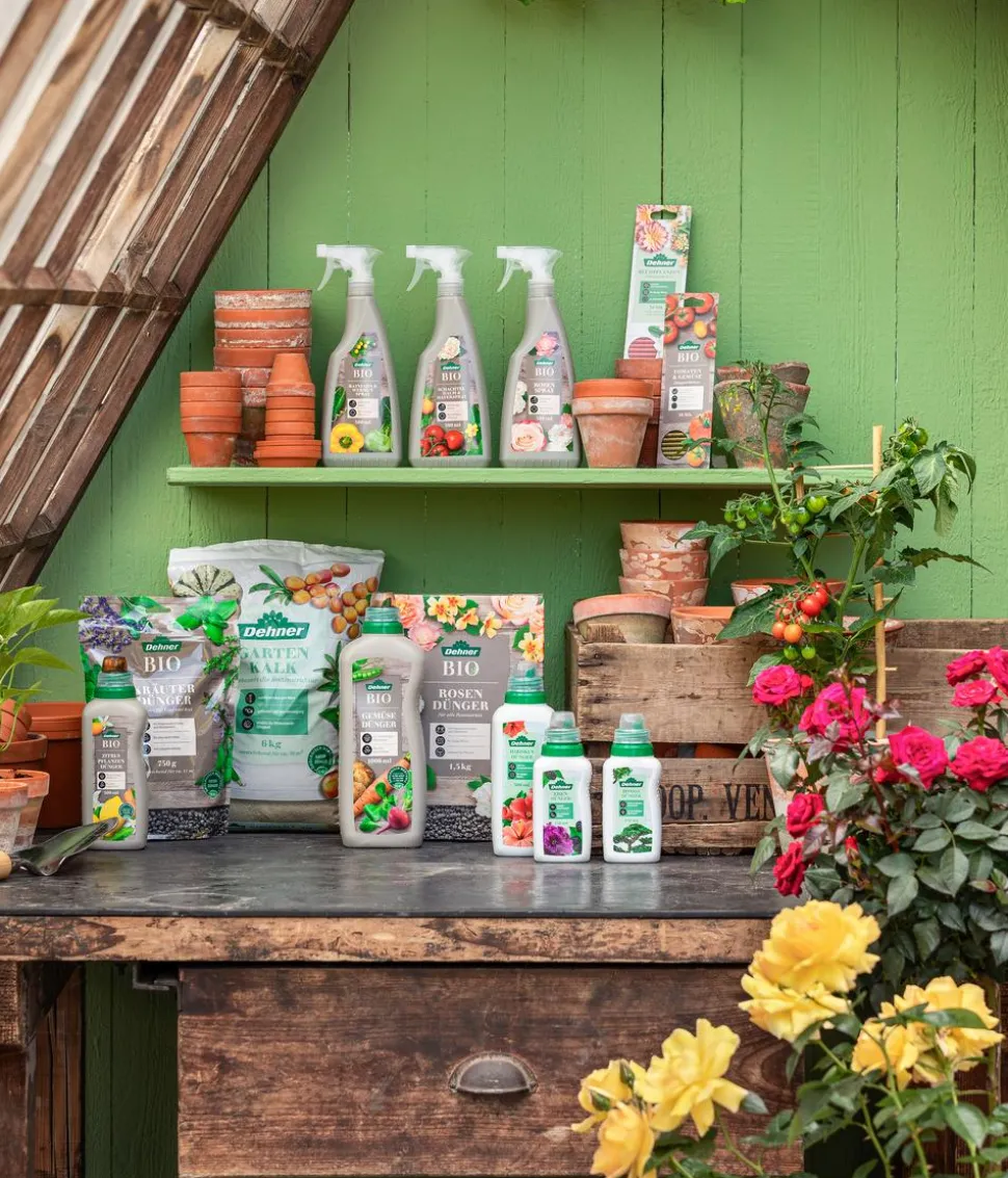 Dehner Bio Zitruspflanzen-Dünger, flüssig, 500 ml