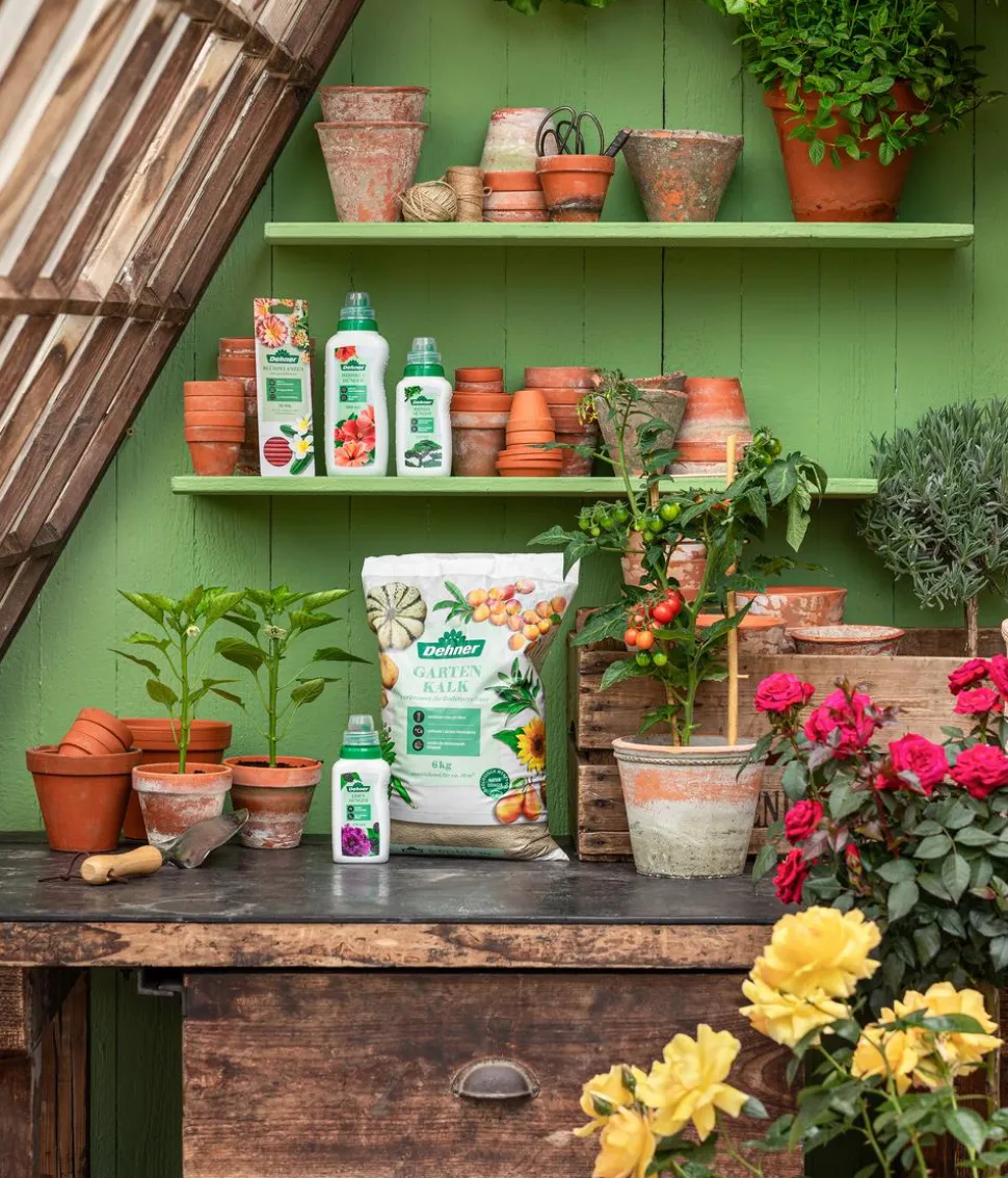 Dehner Bonsai-Dünger, flüssig, 250 ml