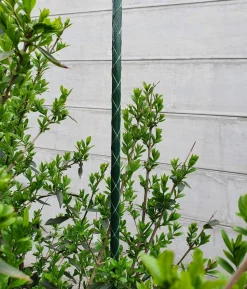 Dehner Fiberglas-Pflanzenstab