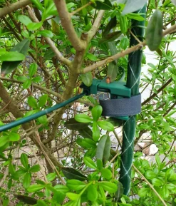 Dehner Fiberglas-Pflanzenstab