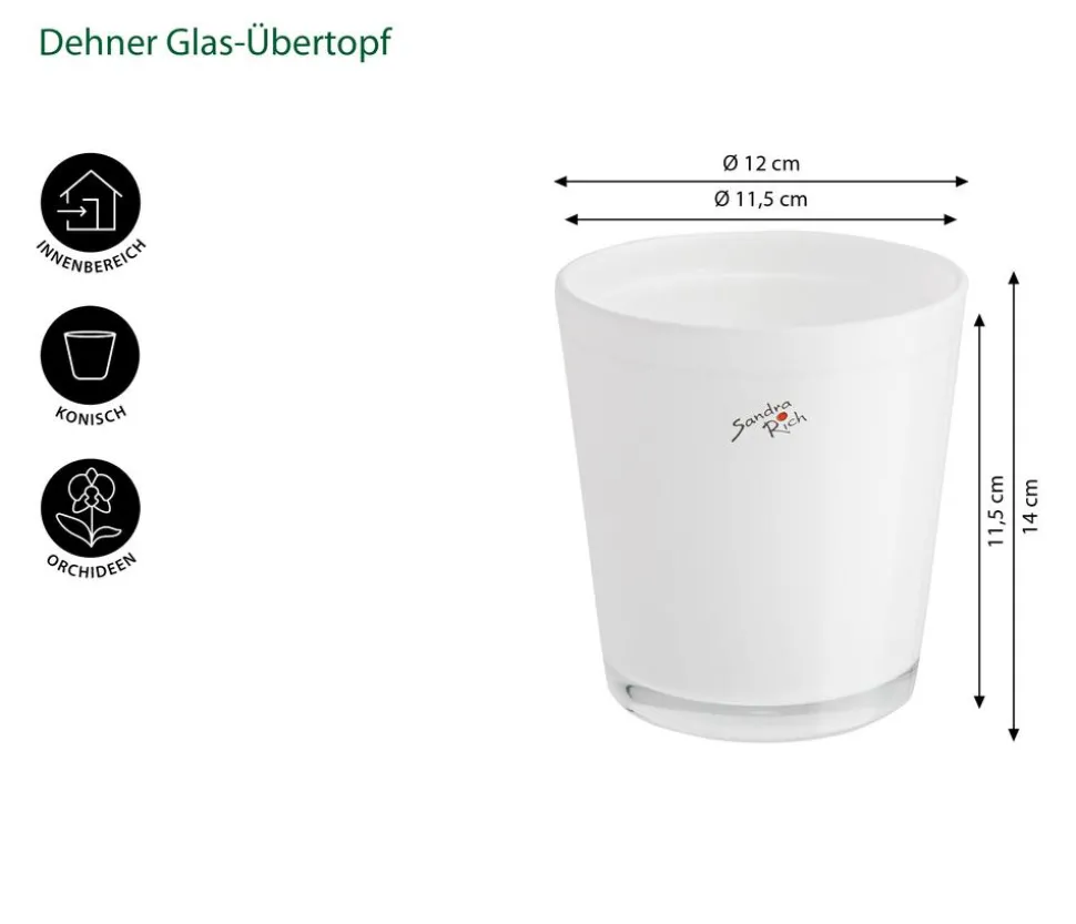 Dehner Glas-Übertopf, konisch, ca. Ø12 cm