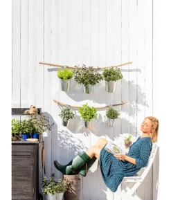 Dehner Gourmet Garten Kugelthymian