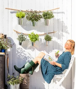 Dehner Gourmet Garten Oregano
