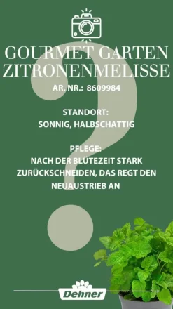 Dehner Gourmet Garten Zitronenmelisse
