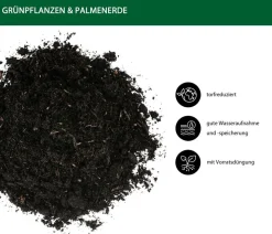 Dehner Grünpflanzen- und Palmenerde, 10 l