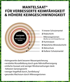 Dehner Herbstrasen-Nachsaat, 750 g