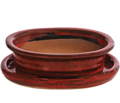 Dehner Keramik-Bonsaischale, oval, ca. B19/H5/T13,5 cm
