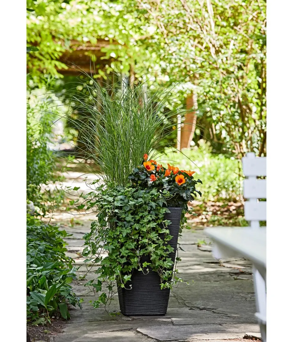 Dehner Kunststoff-Pflanzvase Capri, konisch, anthrazit, ca. B35/H55/T35 cm