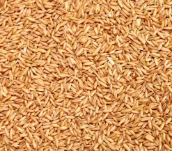 Dehner Lieblinge Geschälter Hafer, 1 kg
