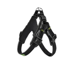 Dehner Lieblinge Hundegeschirr Zirkon