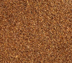 Dehner Lieblinge Japanhirse, 1 kg