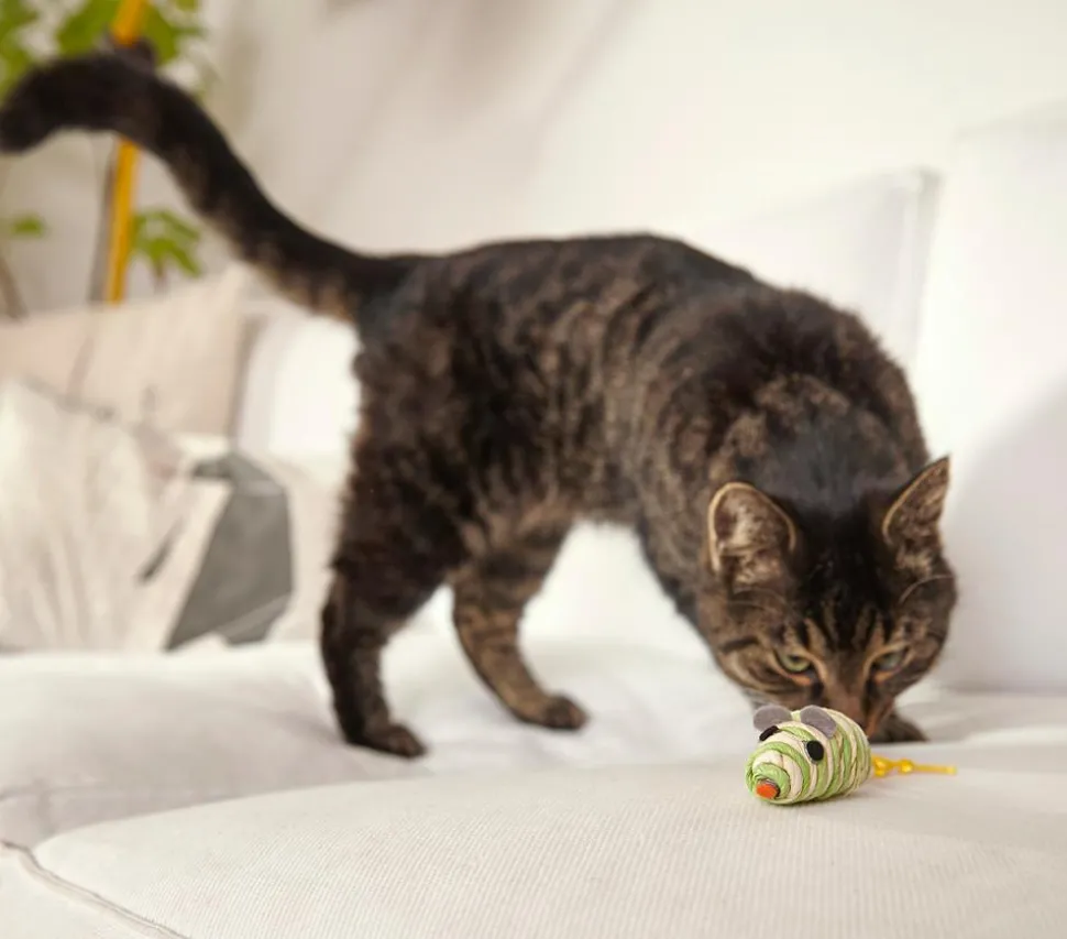 Dehner Lieblinge Katzenspielzeug Spielmäuse Funny, 2er-Set