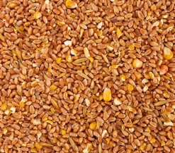 Dehner Lieblinge Körnerfutter für Ziergeflügel, 5 kg
