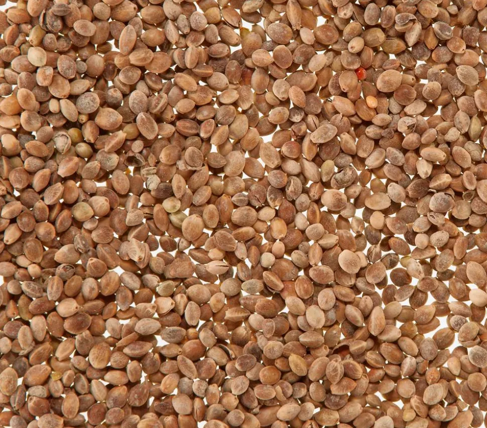 Dehner Lieblinge Mauserhilfe für Großsittiche und Papageien, 20 g