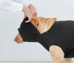 Dehner Lieblinge Post-OP-Body, schwarz