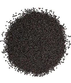 Dehner Lieblinge Rübsen, 1 kg