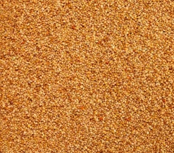 Dehner Lieblinge Senegalhirse, 1 kg