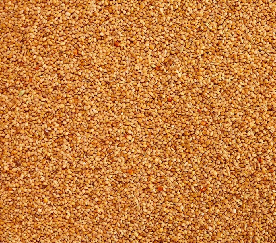 Dehner Lieblinge Senegalhirse, 1 kg