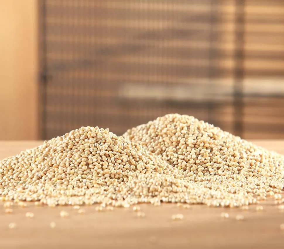 Dehner Lieblinge Silberhirse, 1 kg