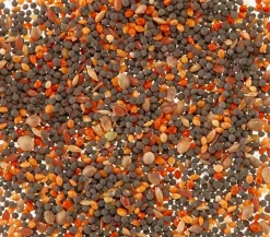 Dehner Lieblinge Singfutter für Kanarien, 20 g