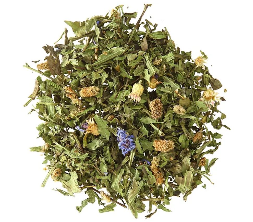Dehner Lieblinge Spitzwegerich, 125 g