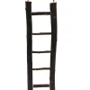 Dehner Lieblinge Vogel-Holzleiter Lofty, 26 cm