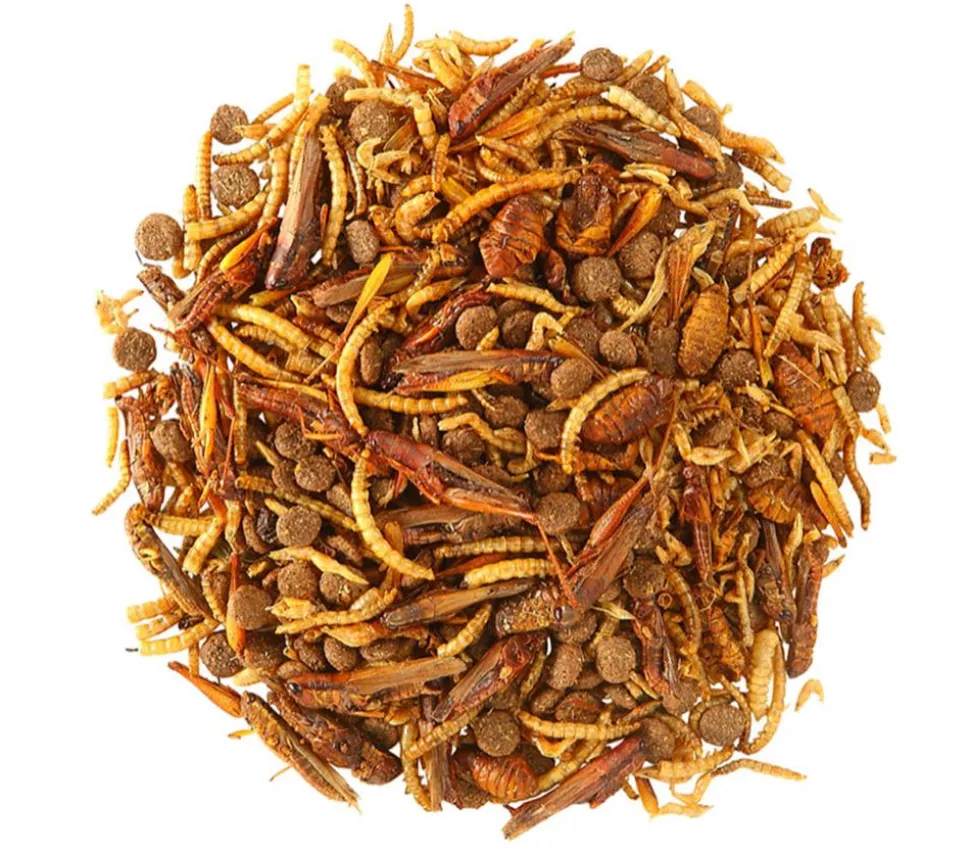 Dehner Natura Premium Igel-Delikatesse, 100g