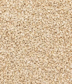 Dehner Natura Premium Wildvogelfutter Halbe/Ganze Erdnüsse