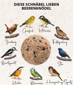 Dehner Natura Premium Wildvogelfutter Beeren-Meisenknödel, mit Netz, 6 Stk.