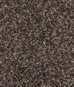 Dehner Natura Premium Wildvogelfutter Sonnenblumenkerne