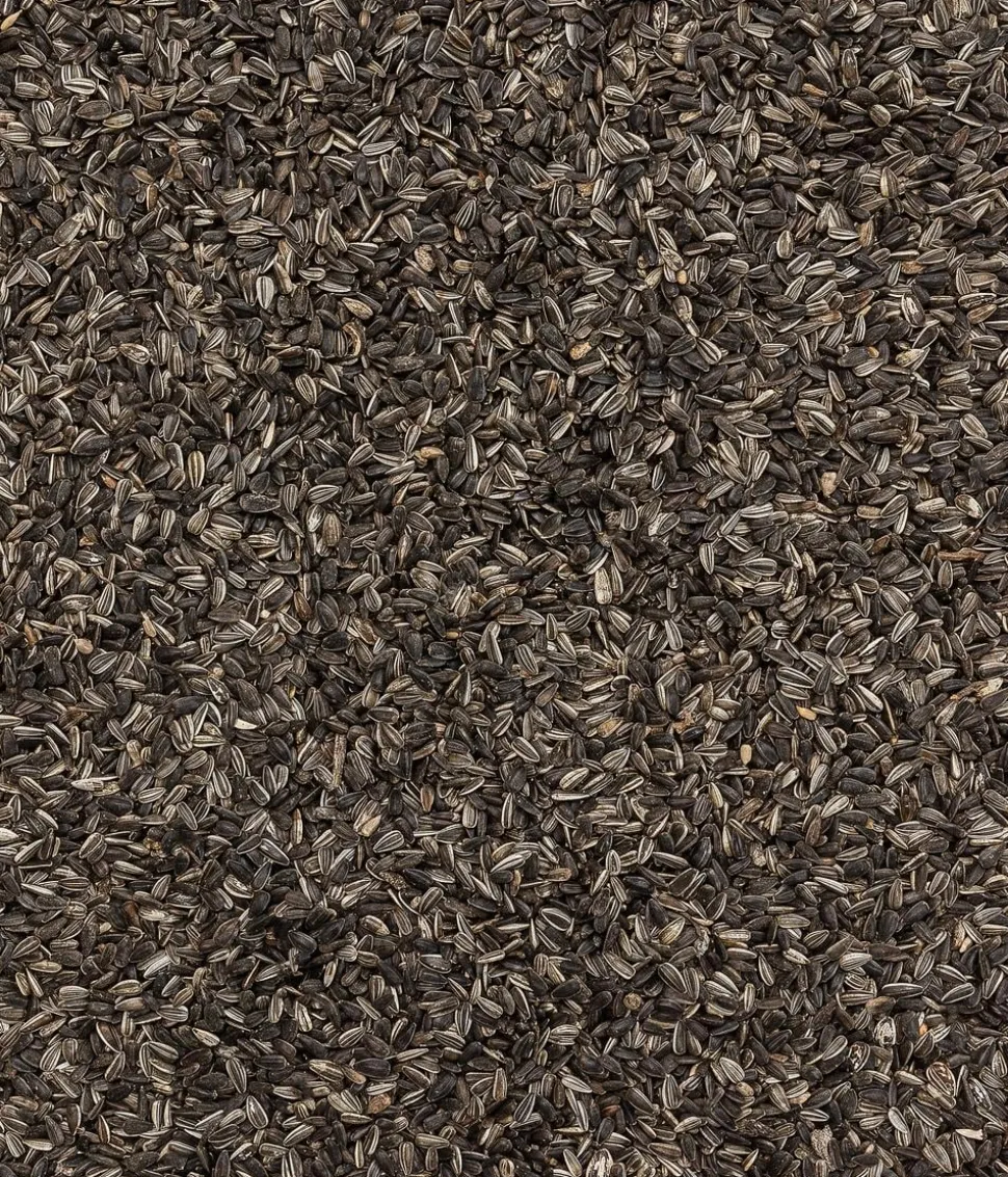 Dehner Natura Premium Wildvogelfutter Sonnenblumenkerne