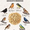 Dehner Natura Premium Wildvogelfutter Gourmet Blocks mit Mehlwürmern, 6 Stk á ca. 90 g