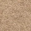 Dehner Natura Premium Wildvogel Kokosnuss mit Fettfuttermischung