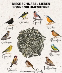 Dehner Natura Premium Wildvogelfutter Pinienzapfen