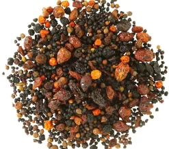 Dehner Natura Premium Wildvogelfutter Beeren-Mix, 500 g