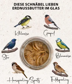 Dehner Natura Premium Wildvogelfutter Geschälte Sonnenblumenkerne