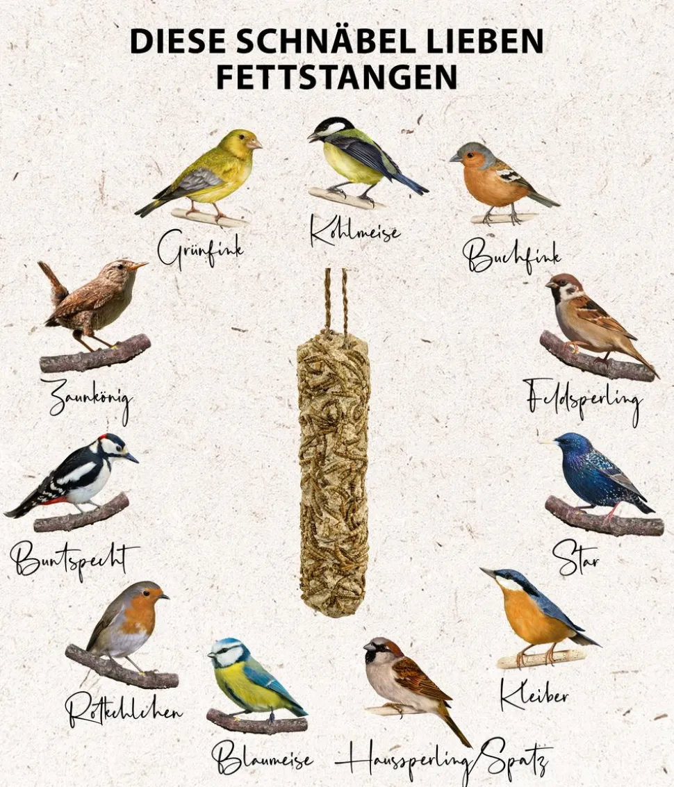 Dehner Natura Premium Wildvogelfutter Meisenknödel im Karton, ohne Netz