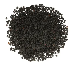 Dehner Natura Premium Wildvogel Ganzjahresfutter Holunderbeeren, 450 g