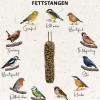 Dehner Natura Premium Wildvogelfutter Kraft-Meisenknödel im Eimer, mit Netz, 30 Stk.
