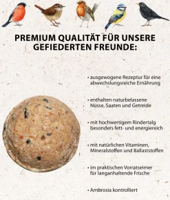 Dehner Natura Premium Wildvogelfutter Gourmet Blocks mit Hirse, 6 Stk á ca. 90 g