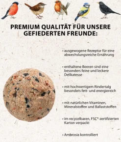 Dehner Natura Premium Wildvogelfutter Gourmet-Kette, 480 g